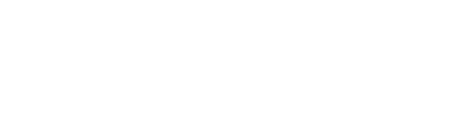 Wise-logo